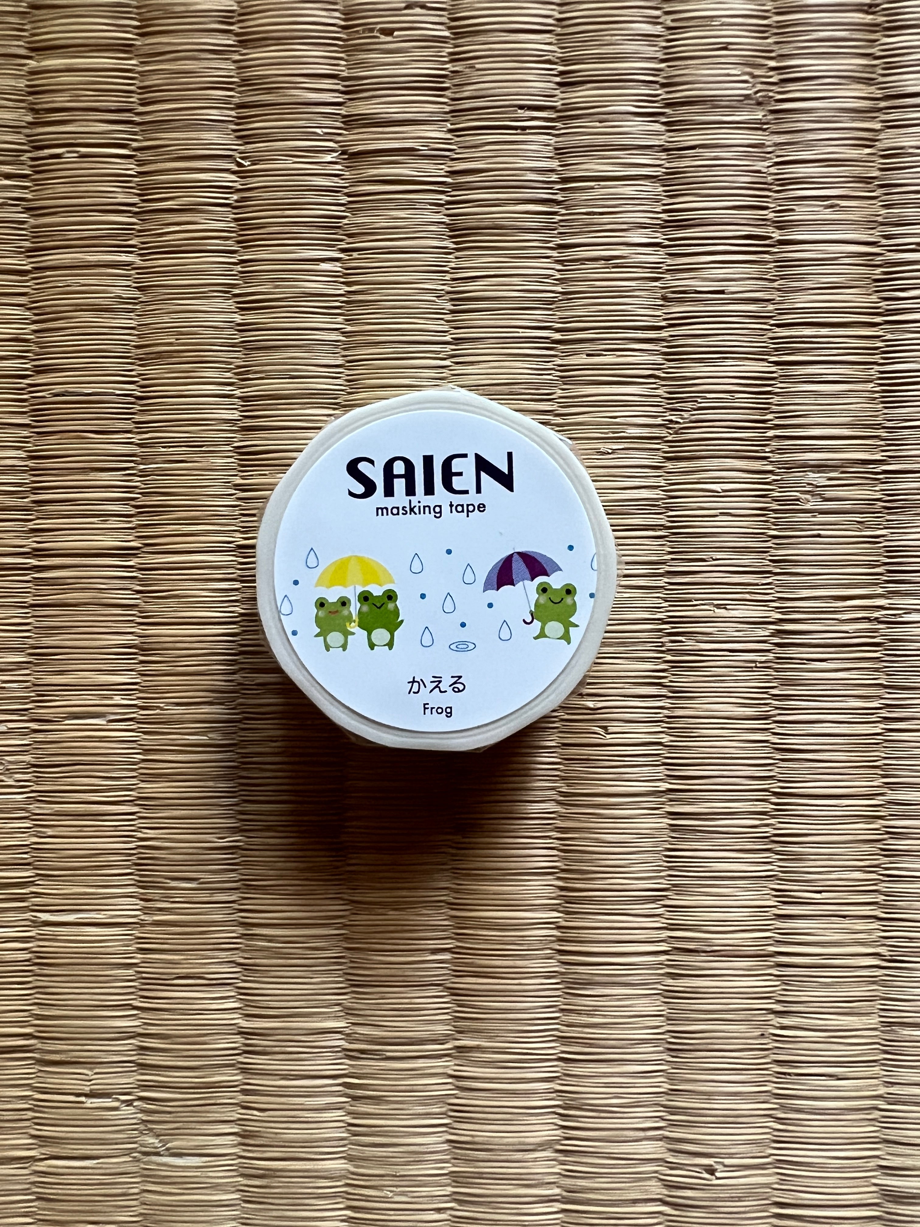 Frogs under the rain