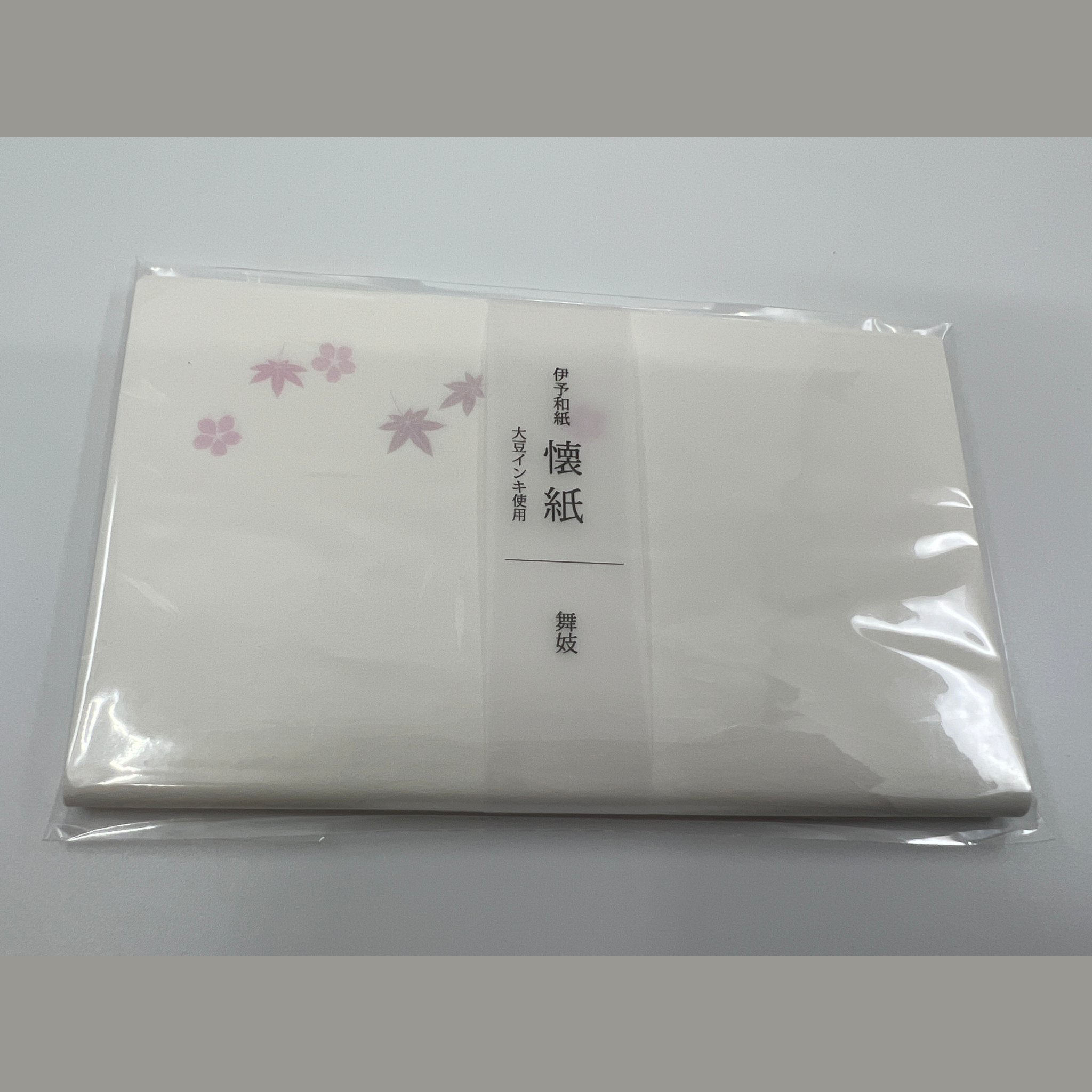 Kaishi Apprentice Geisha