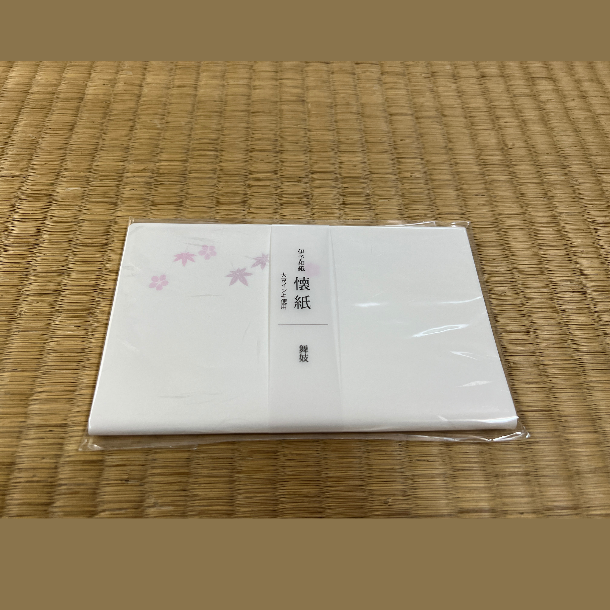 Kaishi Apprentice Geisha