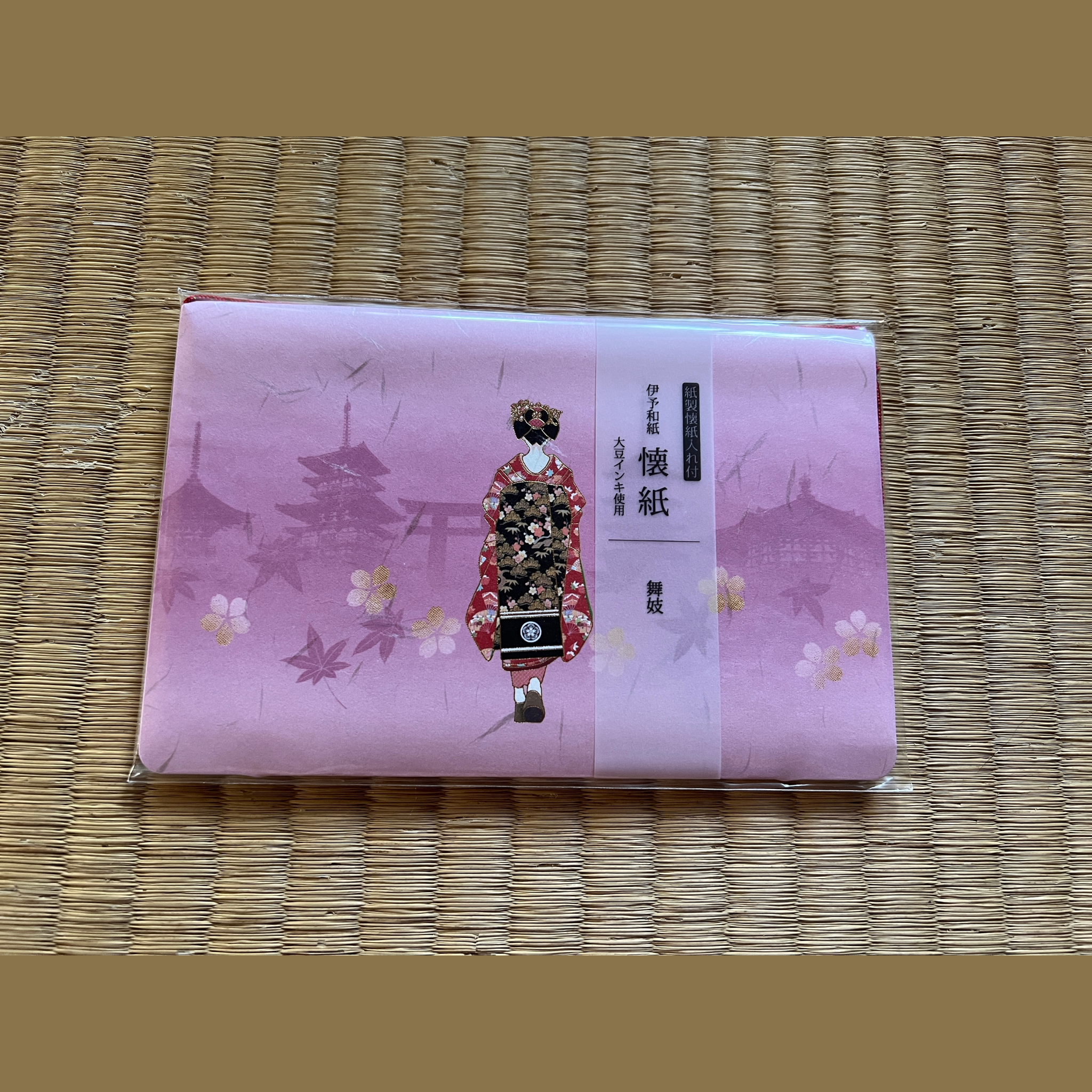 Kaishi Apprentice Geisha with case