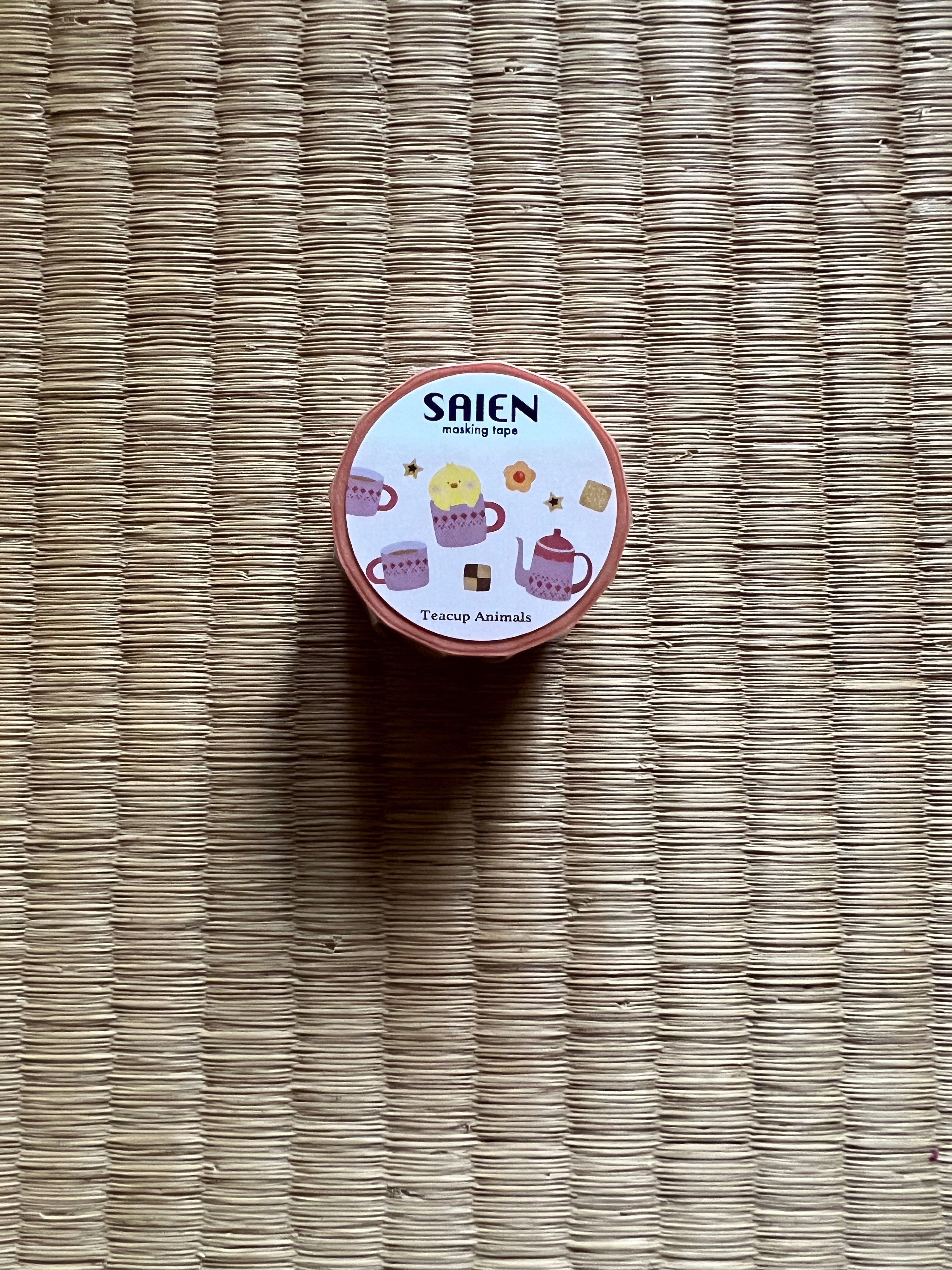 Teacup Animals Chick